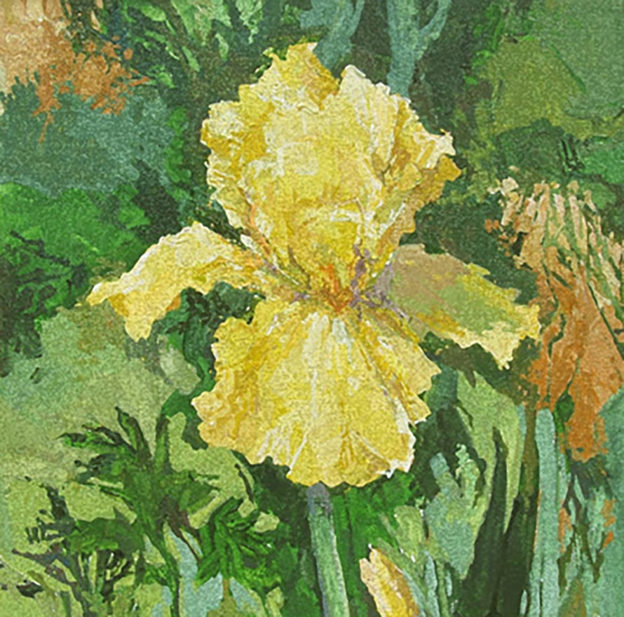 Douglas Atwill garden painting of Yellow Iris